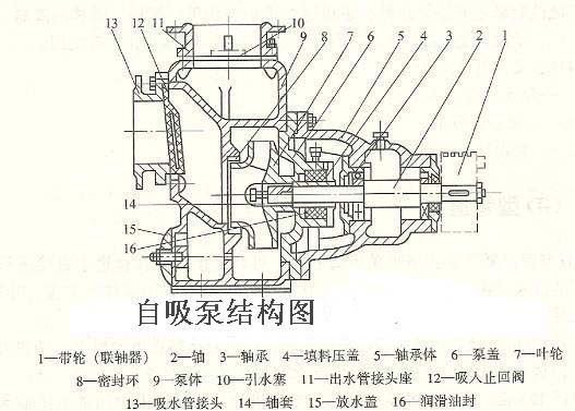 自吸泵的工作原理知識(shí)